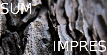 Impressum