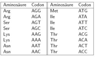 Aminosuren und deren Codons