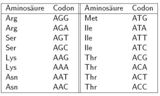 Aminos�uren und deren Codons