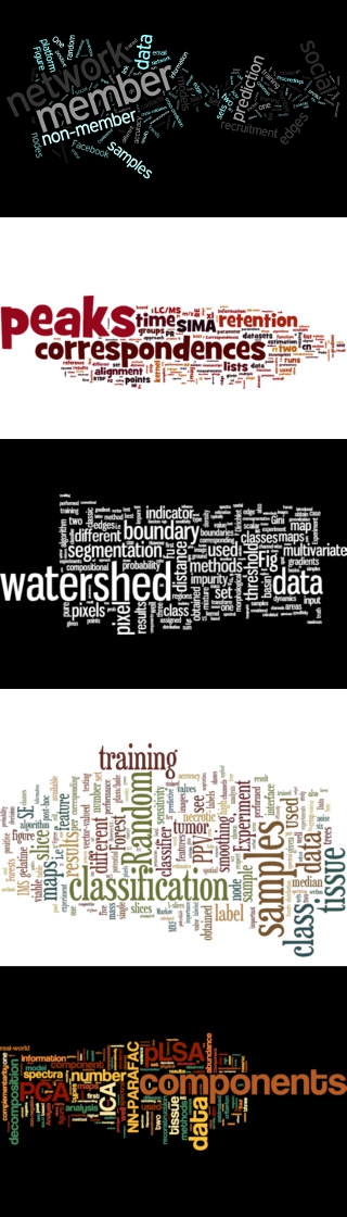 Schlagwortwolken zu meinen Publikationen (kreiert mit wordle.net).